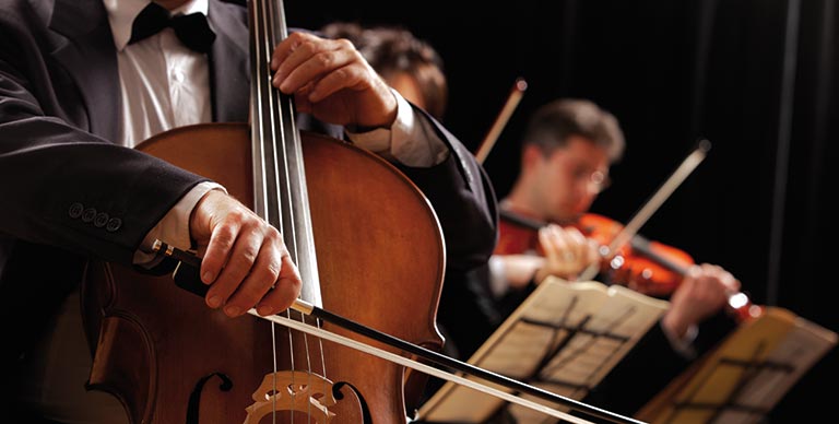 A member of the orchestra playing a cello
